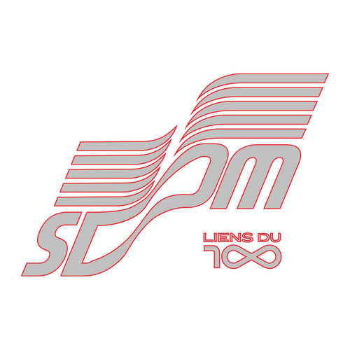Store Officiel SDM logo